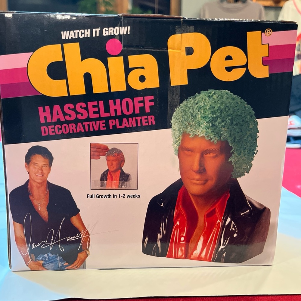 CHIA PET David Hasselhoff “The Hoff” Pottery Planter - Knight Rider New In Box!!